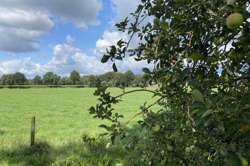 De Meerenhof - foto 16