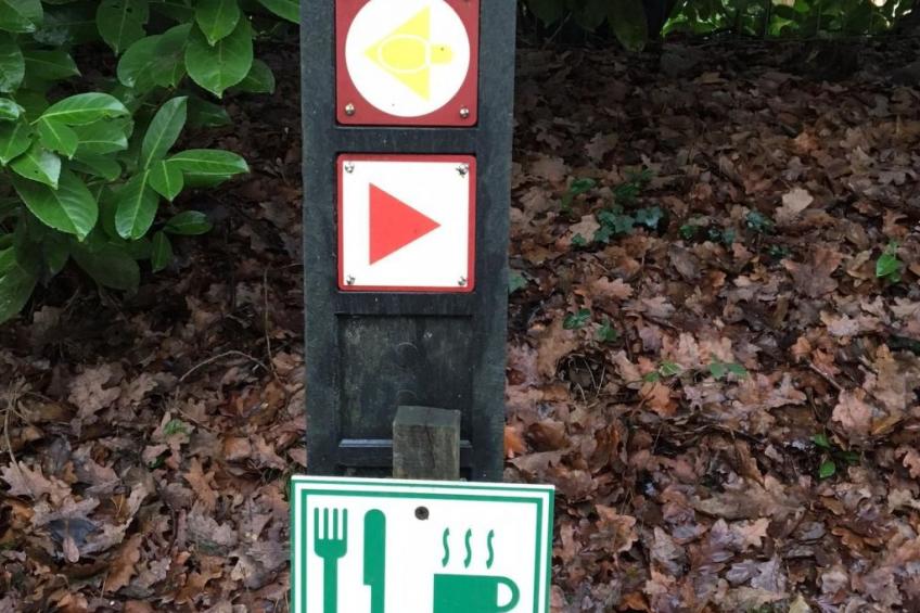 Geräumiges Ferienhaus mitten im Wald - foto 4