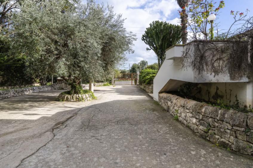 Zacchitella Gardenhouse - foto 34