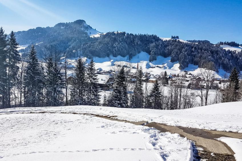 Rüttimätteli - foto 26