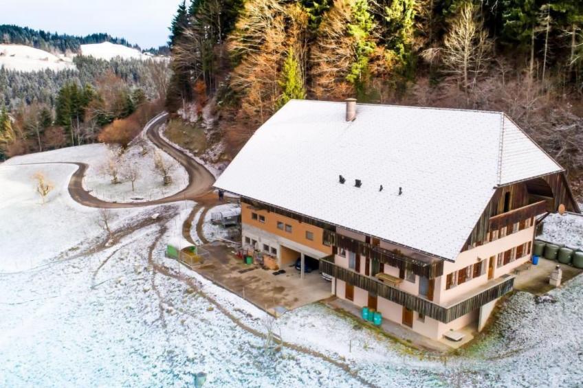 Hof Cholere - foto 17