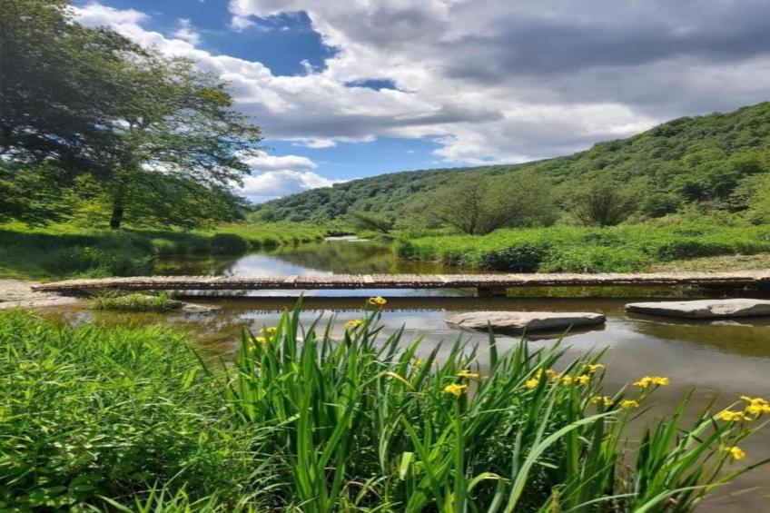 Leora Cocoon - foto 38