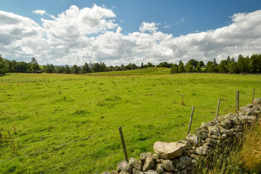 Glenquiech House - foto 55