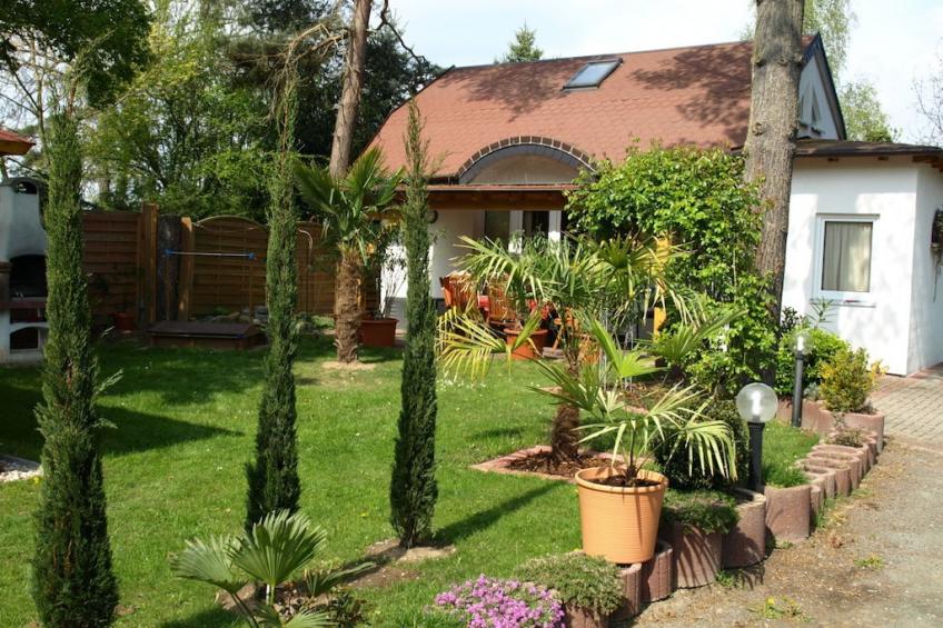 19030 - foto 4