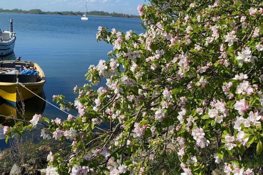 Lovely Place - foto 16