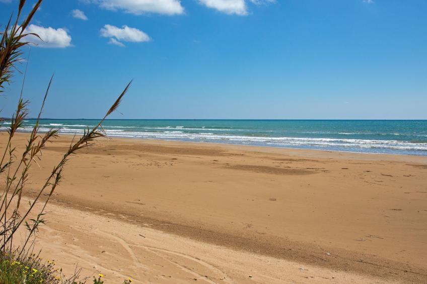 'Federica' - foto 34