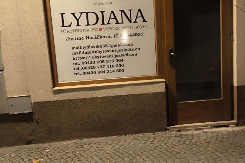 "Lydiana Ubytovani - foto 31