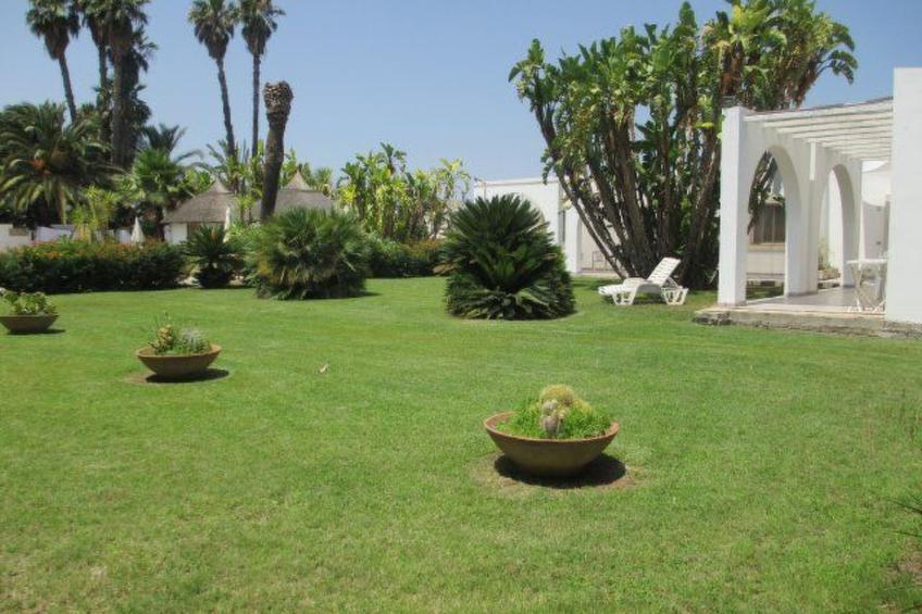 Cuore di Palme Bilo - foto 14