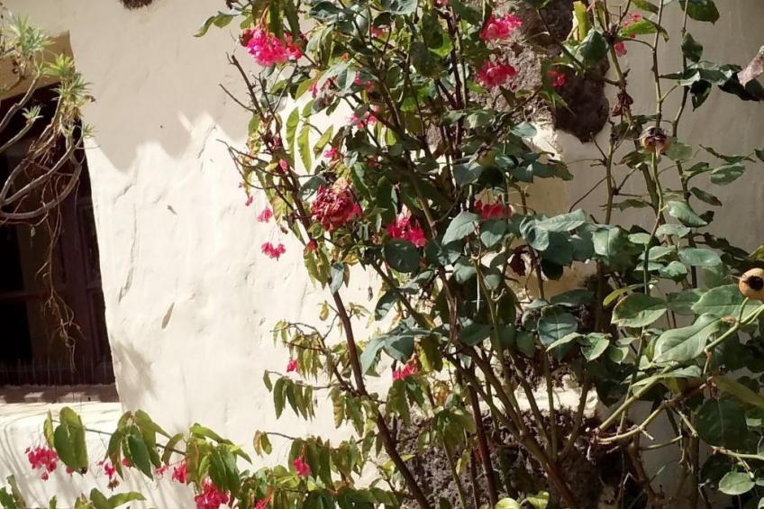 "El Laurel" - foto 25