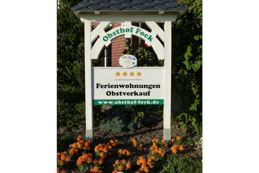 127593 - foto 5