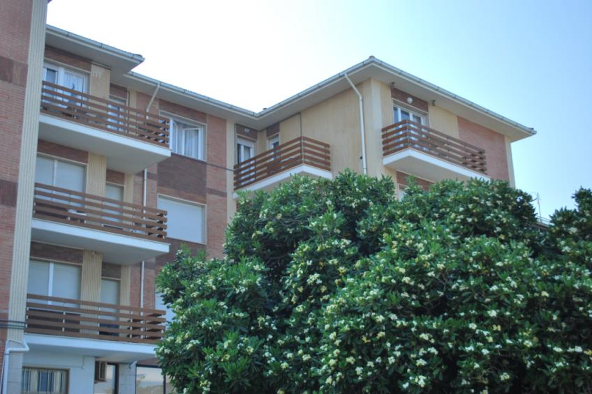 Murex - foto 2