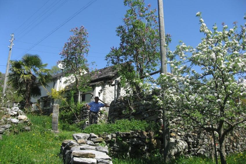 35813 - foto 4