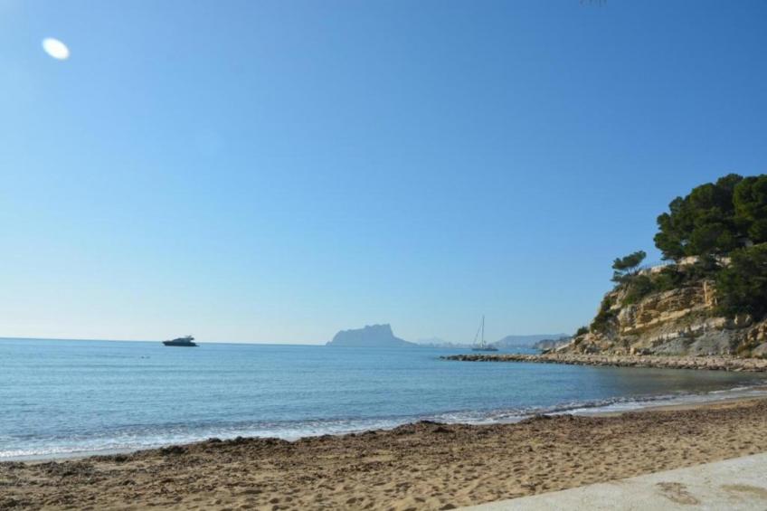 Casa Camelias - foto 25