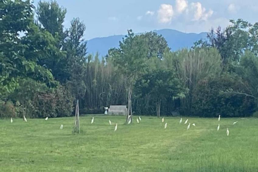 Saliceto Bilocale - foto 18