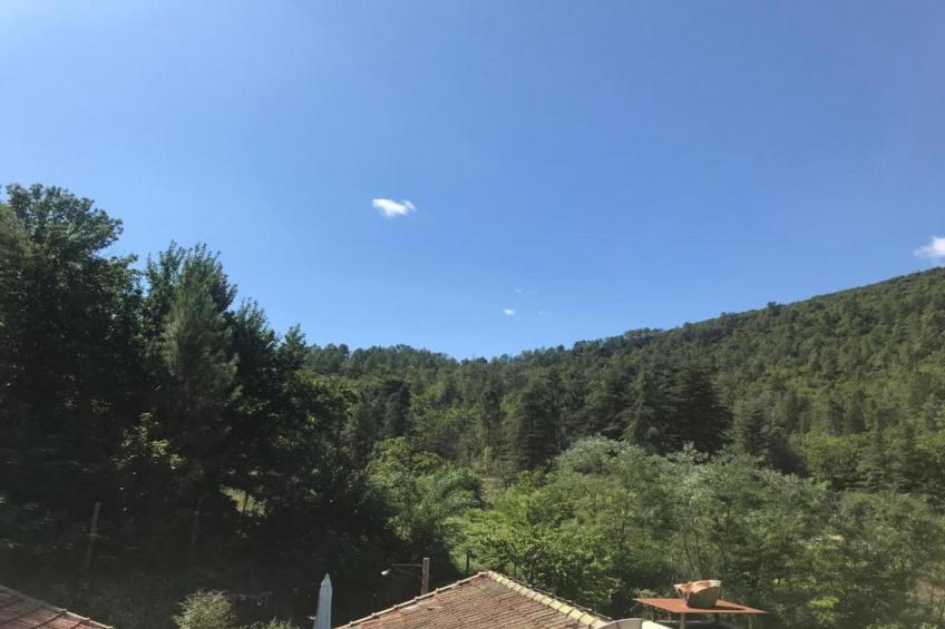 APPARTEMENT LES BROUSSES/LINDE - foto 39