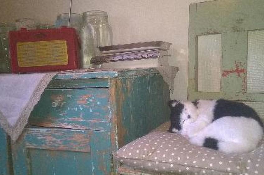 Villa vuorenpää - foto 15