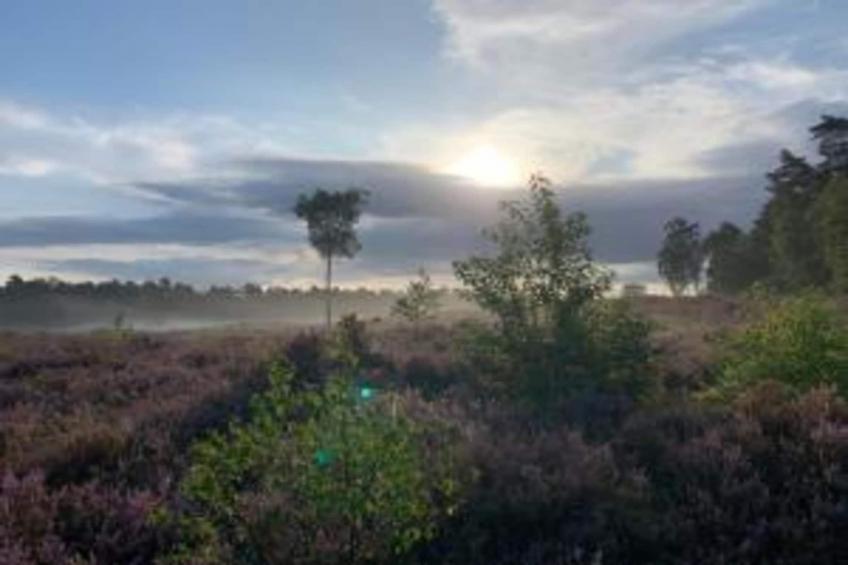 Halseweg 54 - foto 39