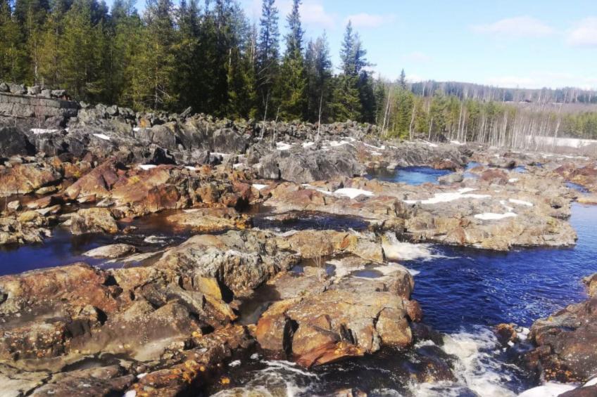 Gemütliches Ferienhaus Angermanland - höga Kusten - foto 46
