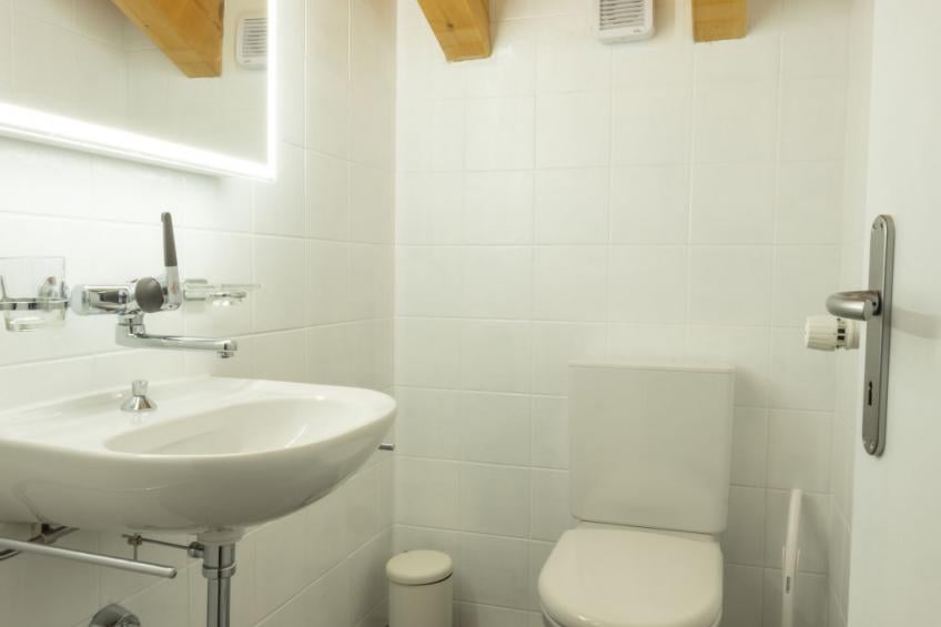 Edelweiss Pany, (Pany), edelweiss_pany - foto 12