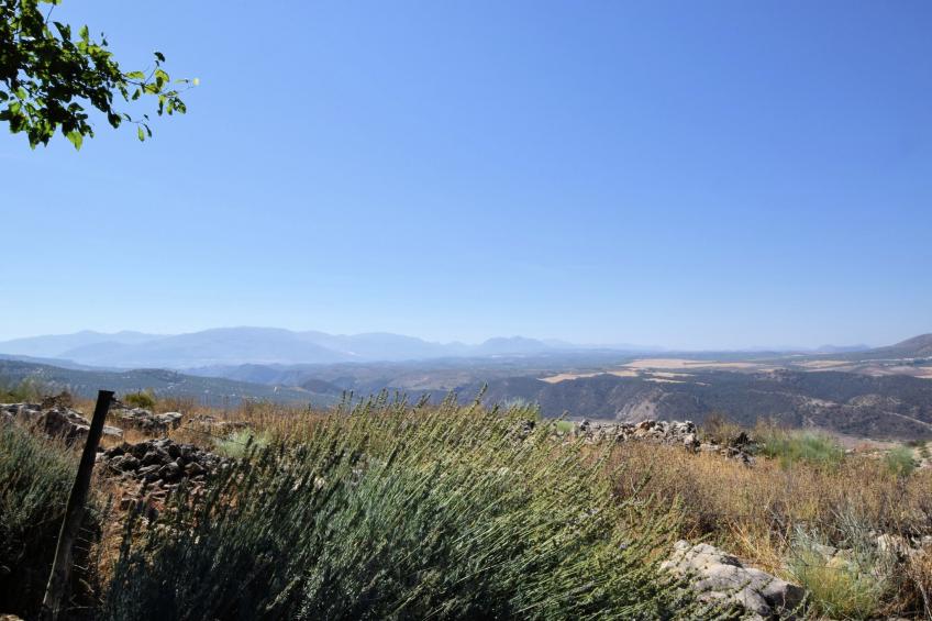 Cortijo El Morron - foto 38