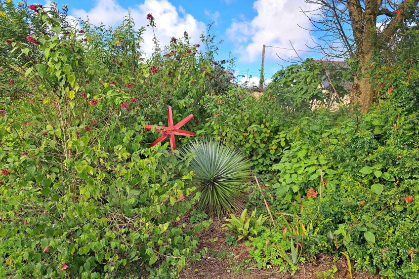 Granitsteinhaus in Guimaëc - foto 18