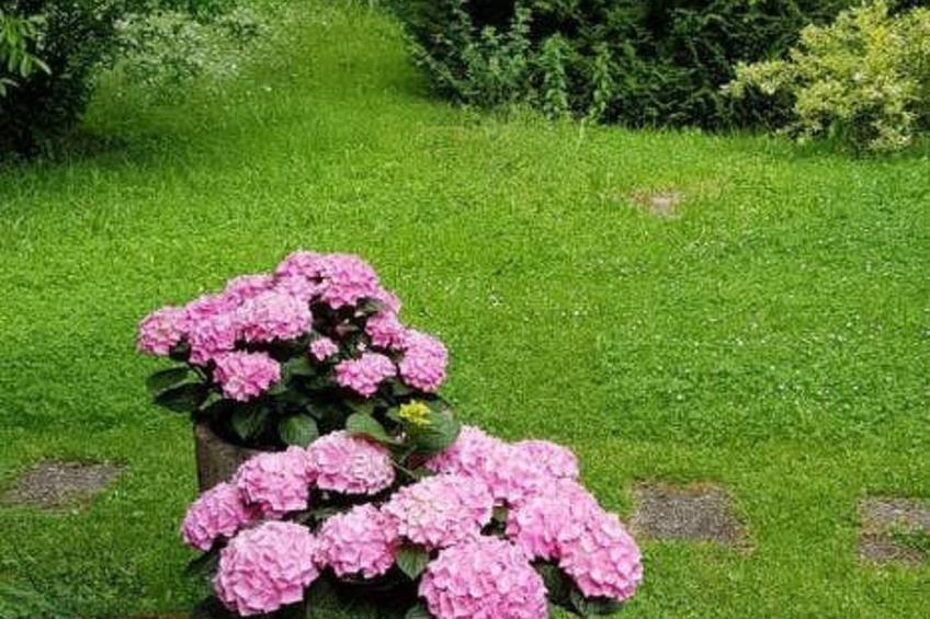 Haus Sonnenschein - foto 46