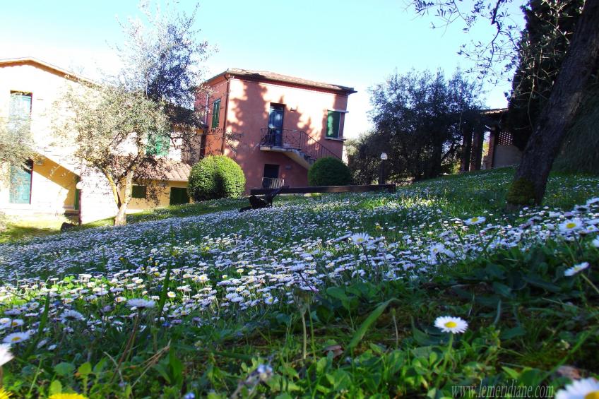 Bramante - foto 23