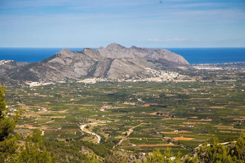 Finca Caballo Verde - foto 25