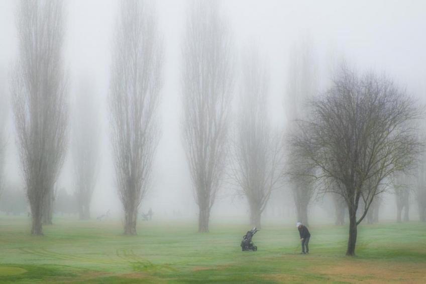 Castagno del Riccio - foto 30