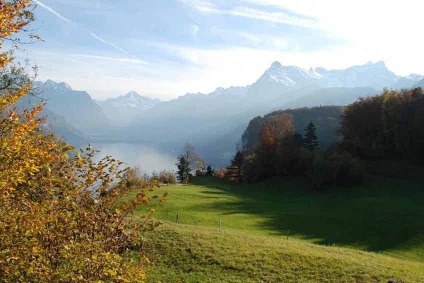 Dein Erlebnis - foto 3