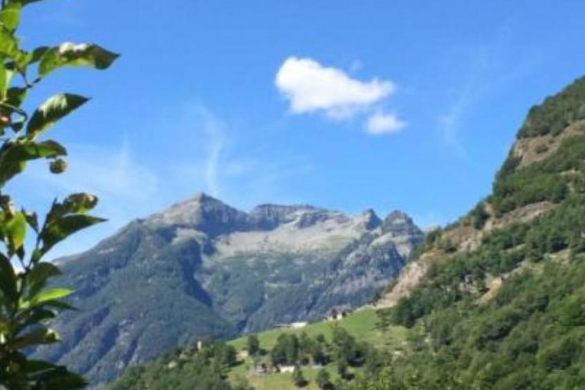 weg von der Zuvielisation - foto 20