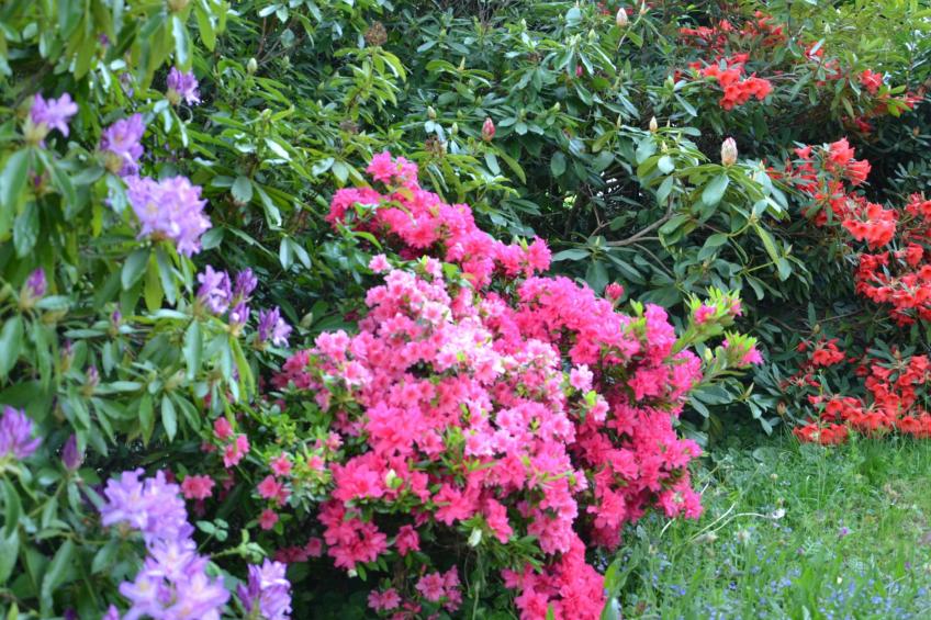 Villa La Côte du Chat -Familienhaus Bretagne - foto 36