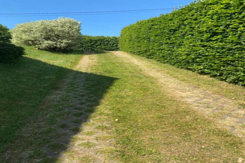 La Forêt - foto 38