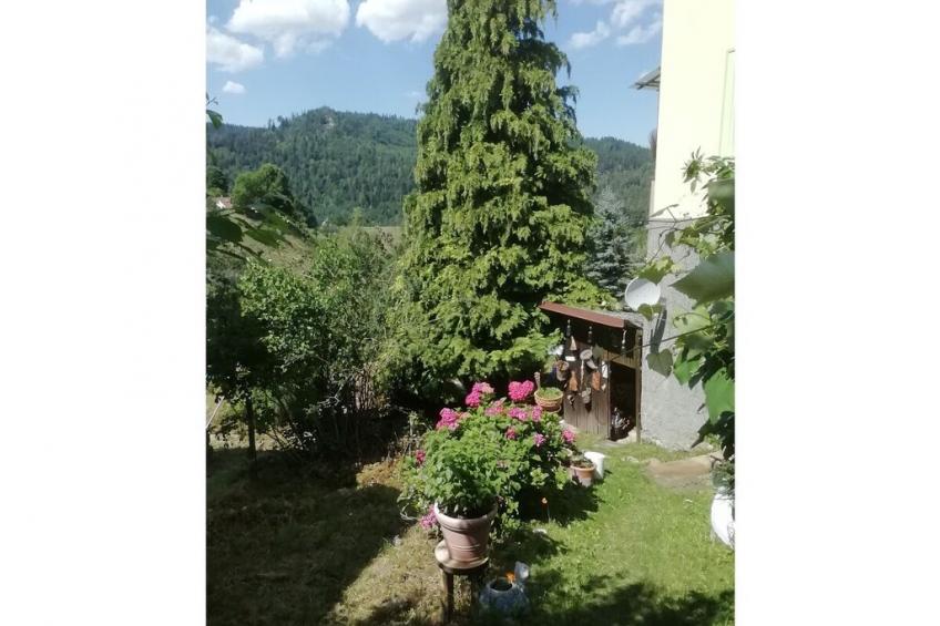 301849 - foto 6