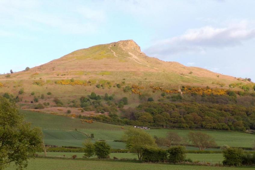 Ingleby Manor - Gun Room - foto 20