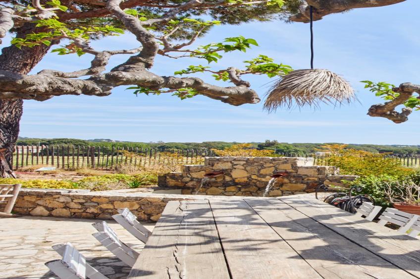 MC-785-COLLEBASSE - foto 34