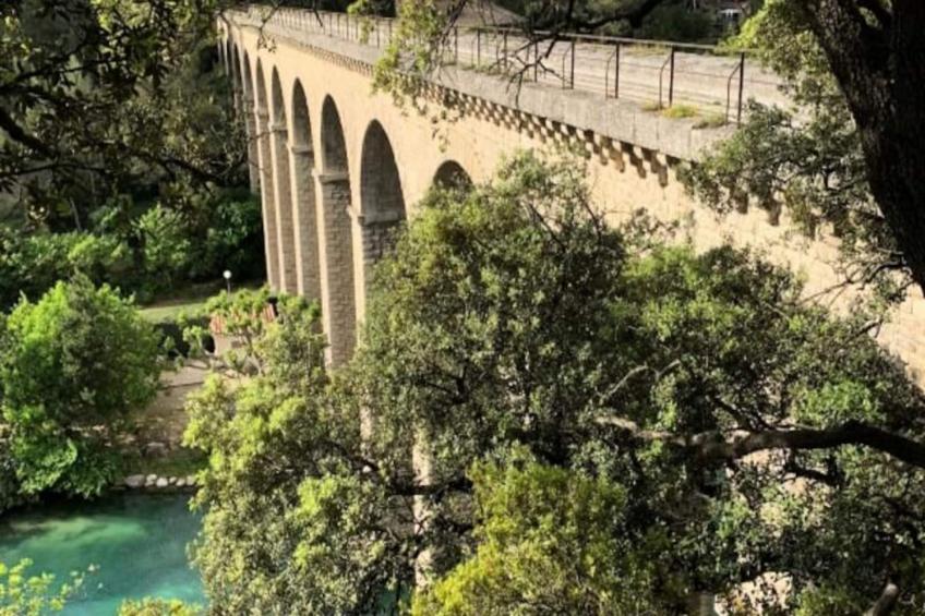 Fleurs De Provence - foto 15