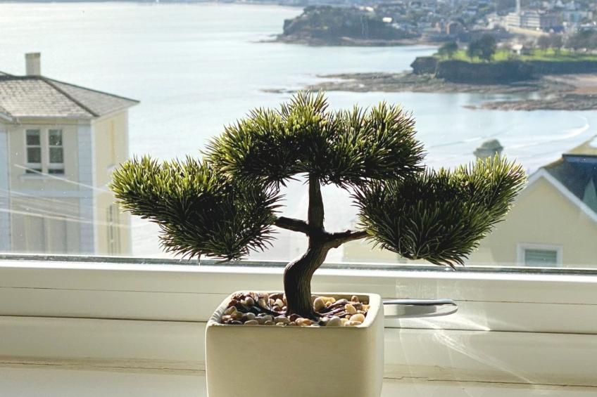 Wohnung mit Meerblick in Torquay - foto 4