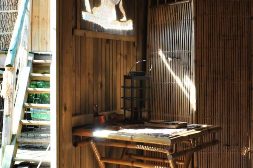 Parc de la Belle - foto 18