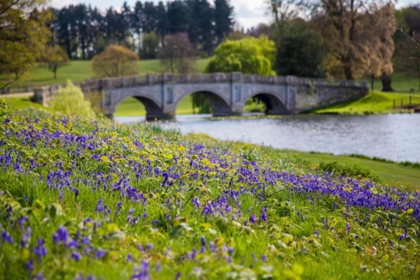 The Highland Camping Pod - foto 29