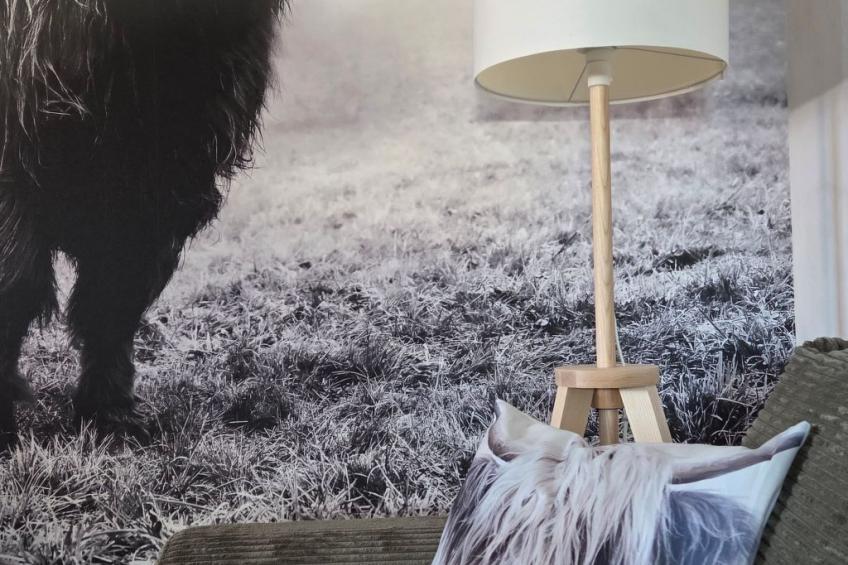 Chalet "Ecureuil" in den Portes du Soleil im Wallis - foto 4