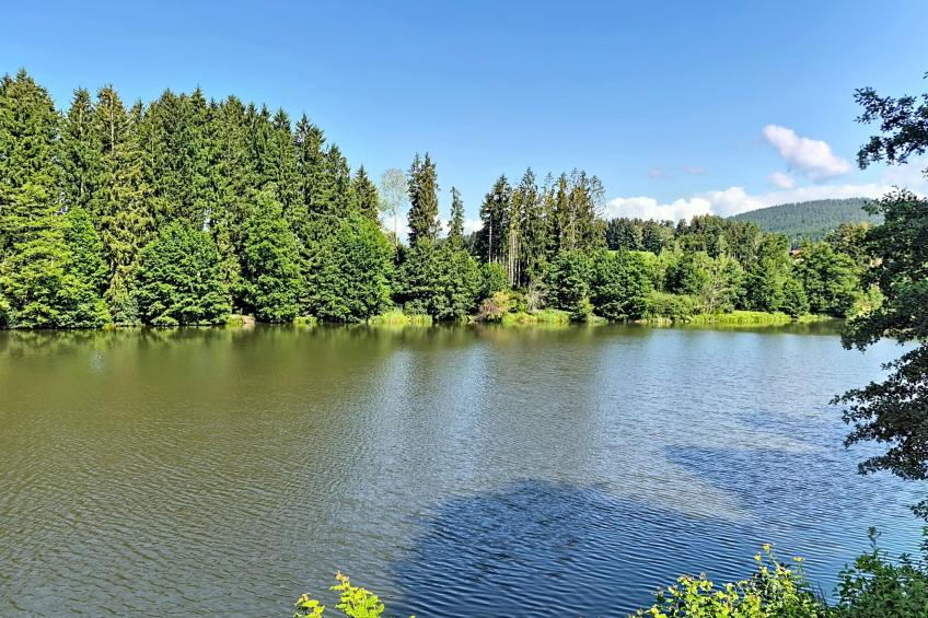 Böhmerwald Pur2 - foto 74