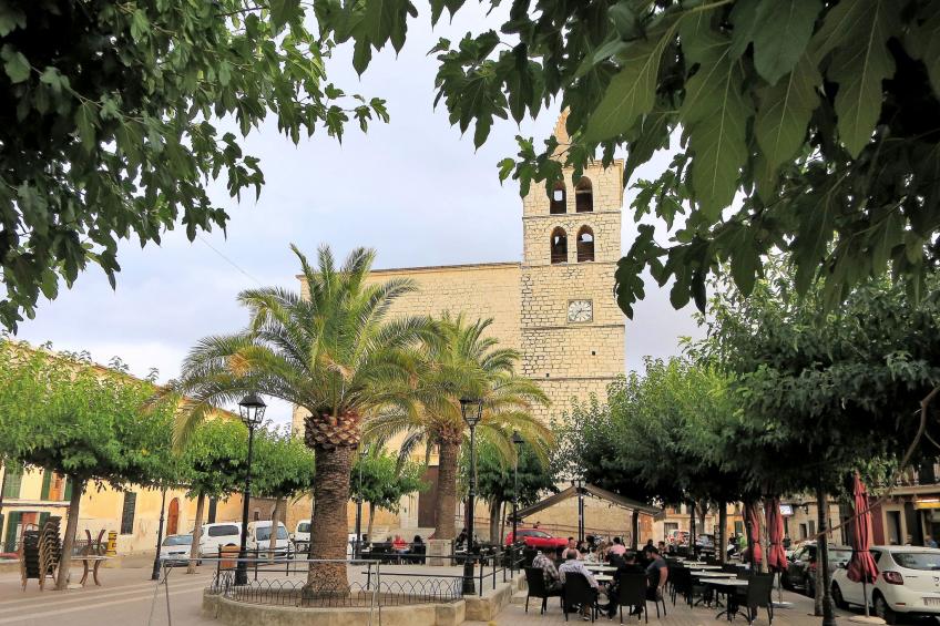 Pla de Ses Rotes - foto 47