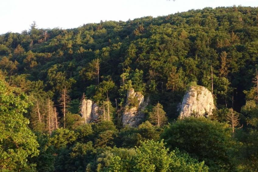 Im Altmühltal - foto 31