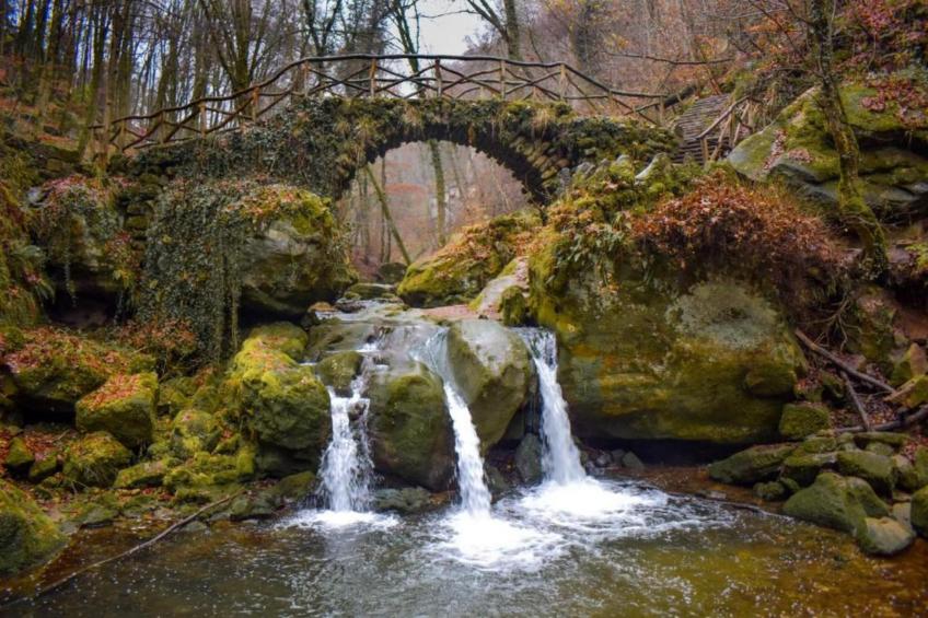 Boerenhof I - foto 35