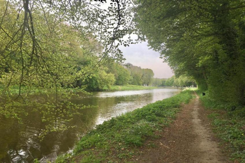 Vakantiepark De Lochemse Berg 1 - foto 36