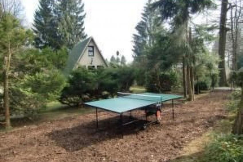 Haus Waldesrauschen - foto 15