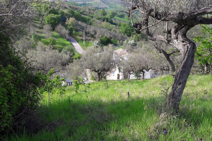 "Casa Luna" - foto 17