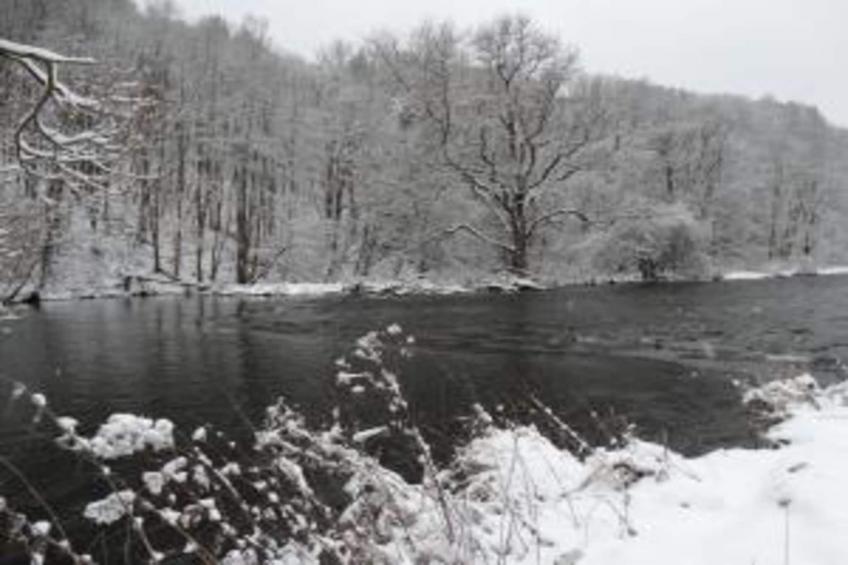 The Heart and Joy - foto 37