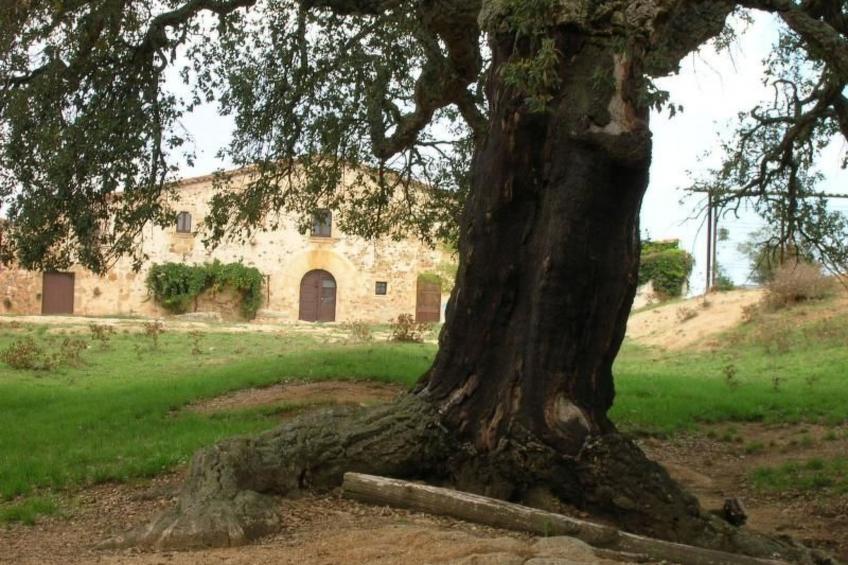 Bauernhaus im Naturpark Gavarres - foto 2